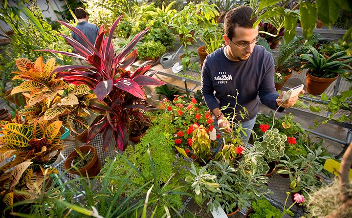 BW的现代生物实验室包括室外原生植物和雨水花园, greenhouse, 植物生长室, 昆虫室和斑马鱼水族馆.